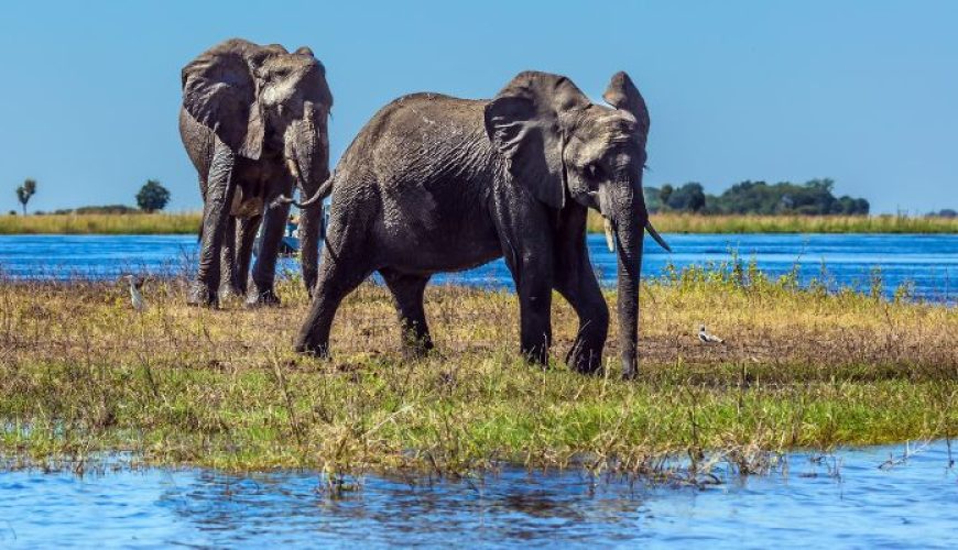 Botswana