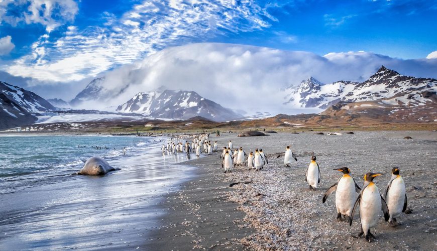 Falkland Islands (Malvinas)