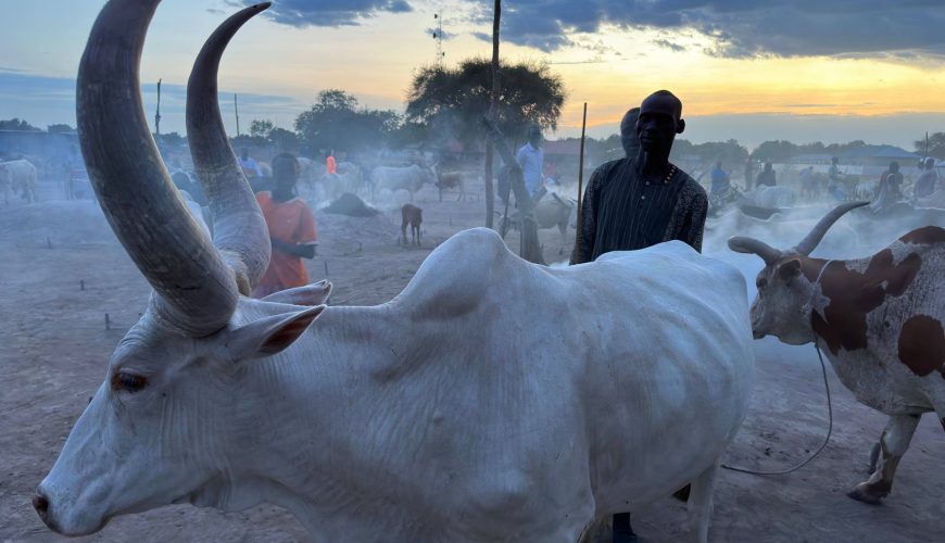 South Sudan