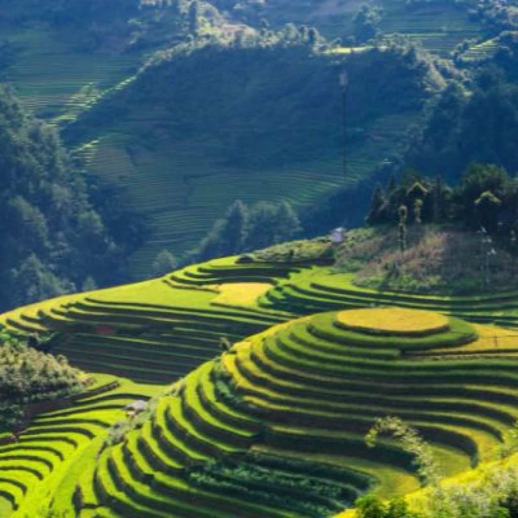 Vietnam