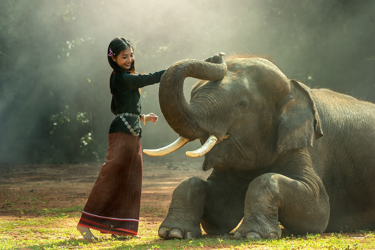 Green Elephant Sanctuary