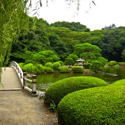 Shinjuku Gyoen National Garden