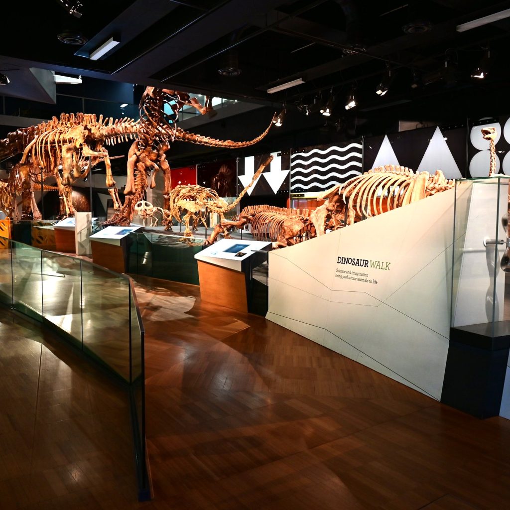 Melbourne Museum