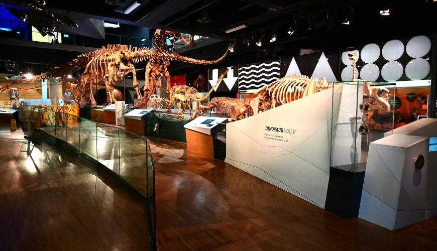 Melbourne Museum