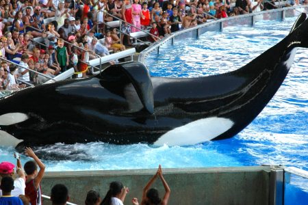 SeaWorld Orlando