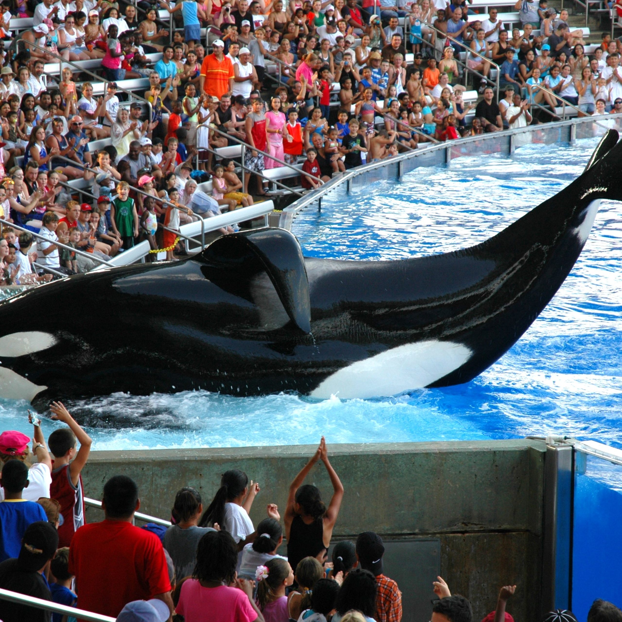 SeaWorld Orlando