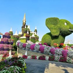 Dubai Miracle Garden