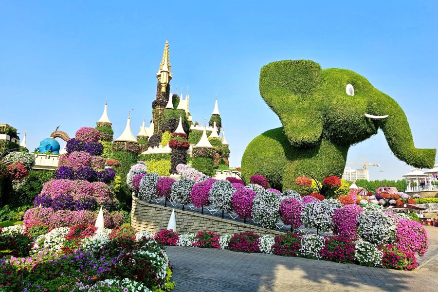 Dubai Miracle Garden