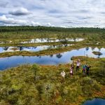 Soomaa National Park