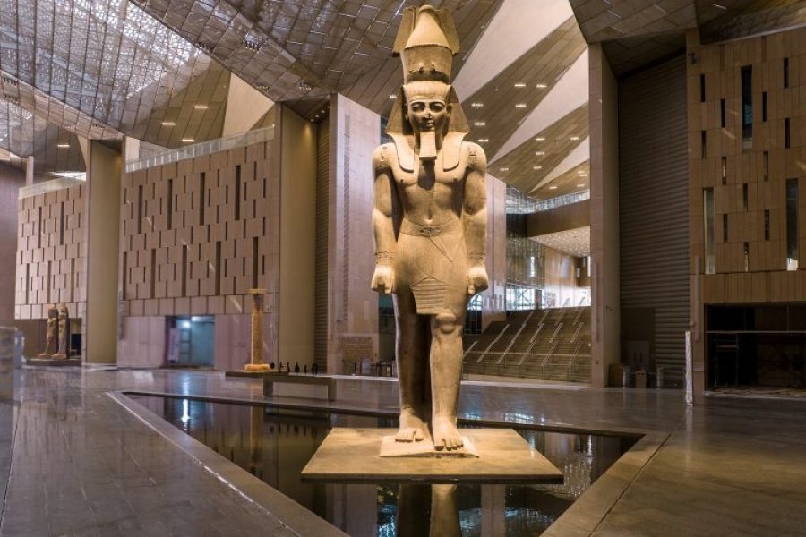 Guided Egyptian Museum Tour