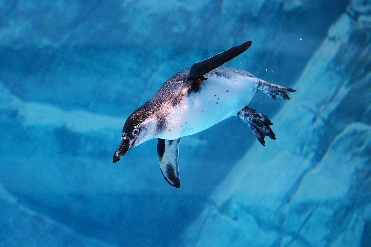 SEA LIFE Melbourne Aquarium