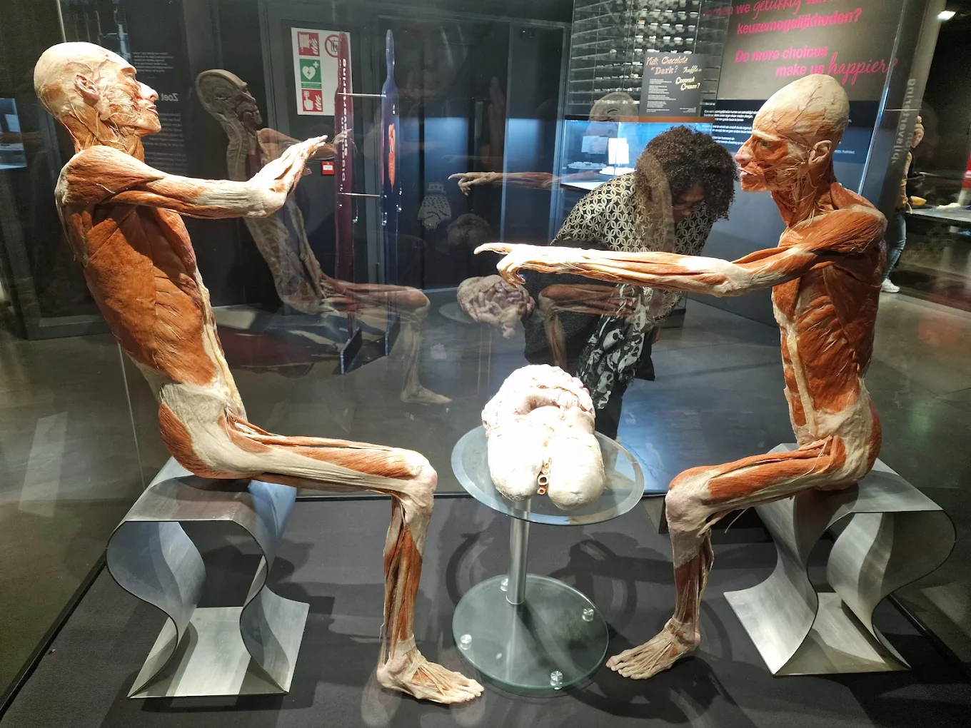 Body Worlds Museum