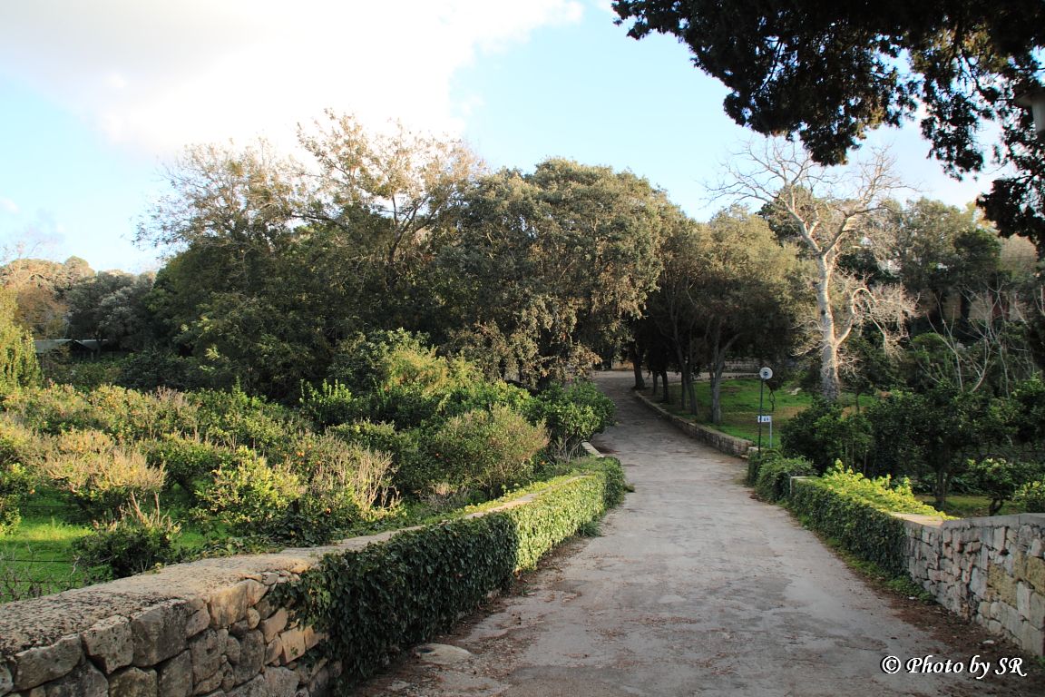 Buskett Gardens in Malta