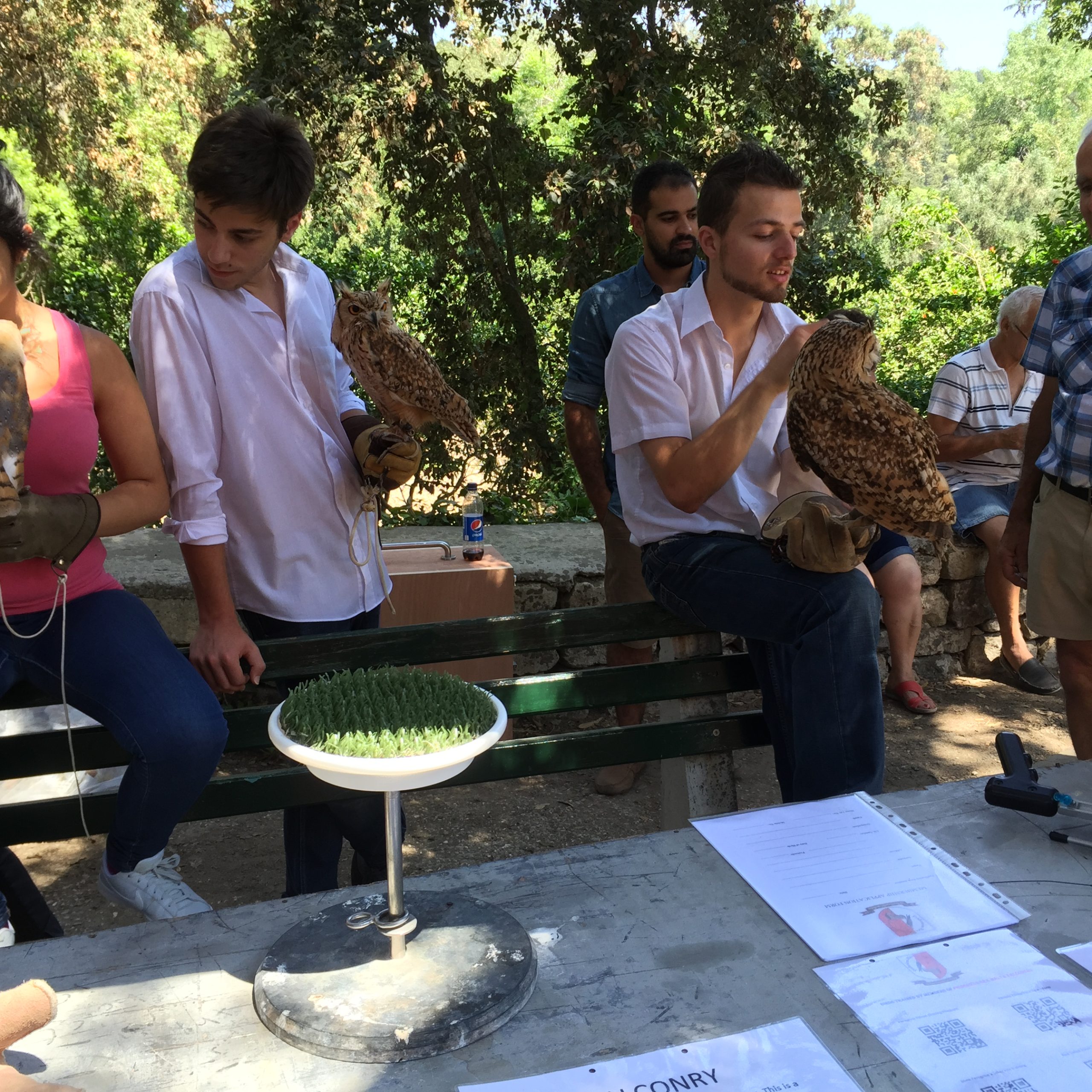 Buskett Gardens in Malta
