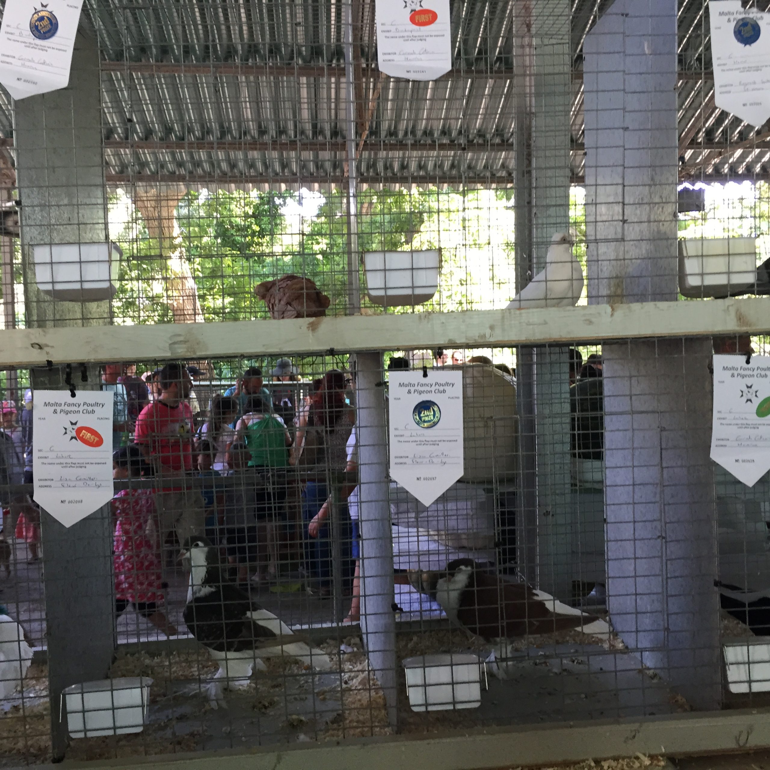 Buskett Gardens in Malta