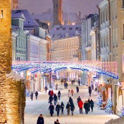 Tallinn Christmas Market Walking Tour