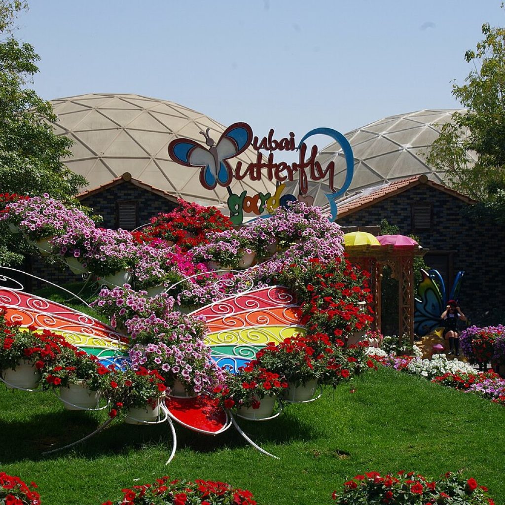 Dubai Butterfly Garden