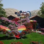 Dubai Butterfly Garden