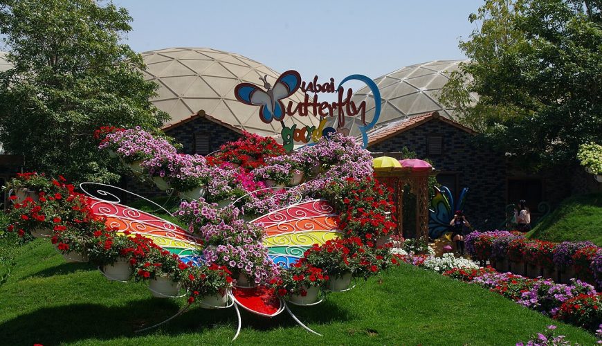 Dubai Butterfly Garden