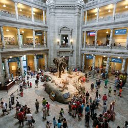 National Museum of Natural History (NMNH)