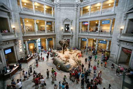 National Museum of Natural History (NMNH)