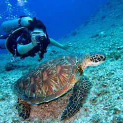 Daymaniyat Islands