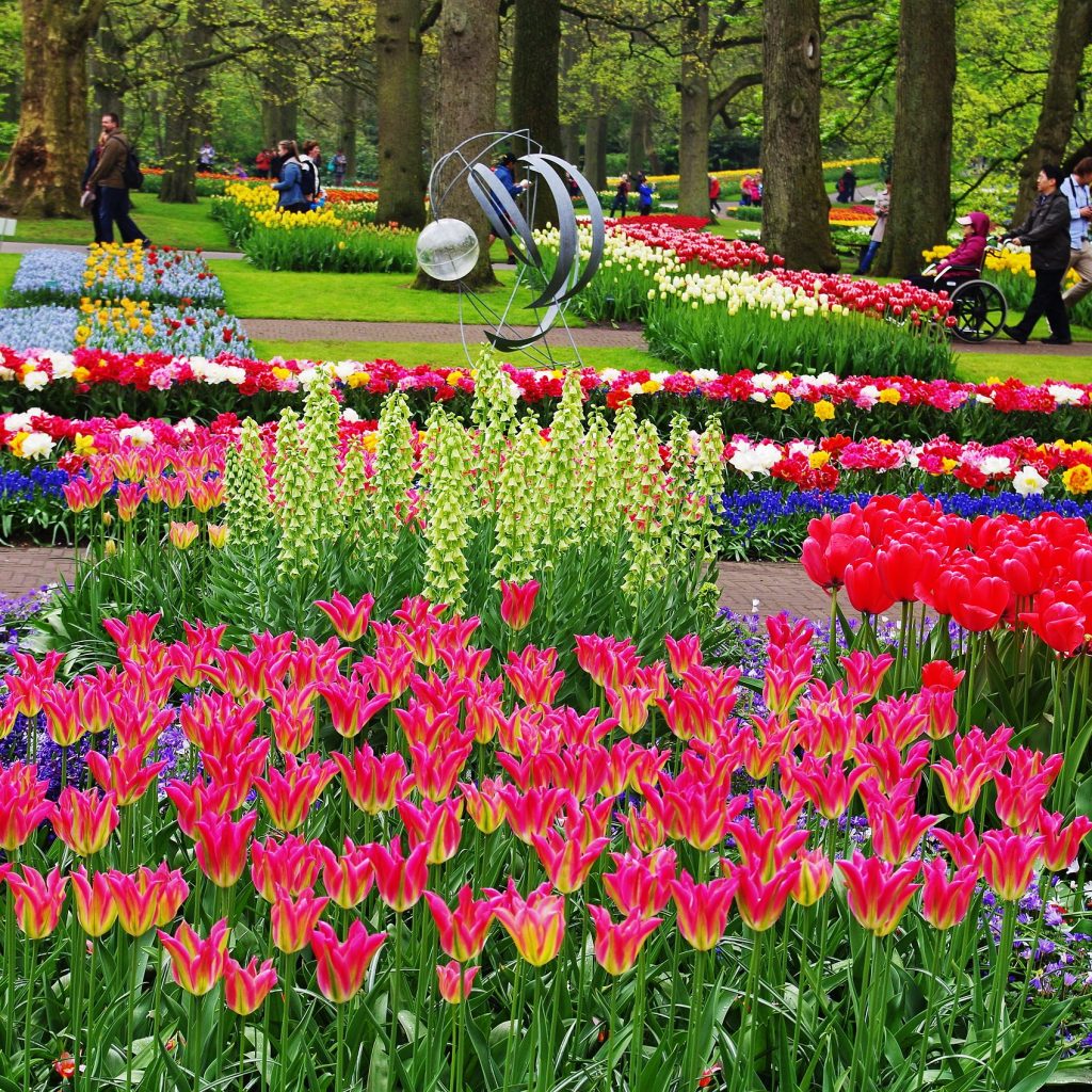 Keukenhof