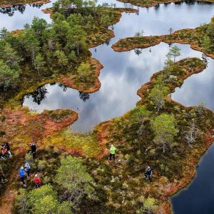 Estonia Best Nature Trails – Full Day Adventure from Tallinn