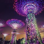 Gardens by the Bay