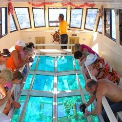 Sharm El Sheikh Glass Bottom Boat Tour