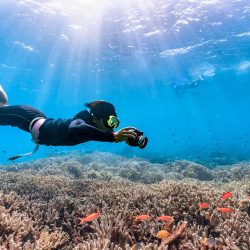 White Island and Ras Mohamed Snorkeling Trip