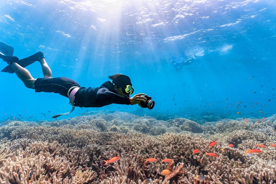 White Island and Ras Mohamed Snorkeling Trip