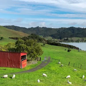 Duder Regional Park Full-Day Guided Walking Tour