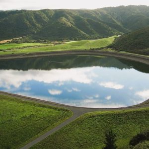 Private Kaitoke Hot Springs Walk and Soak Tour
