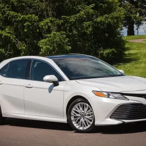 Roundtrip Private Sedan Transfer from Punta Cana Airport to Alto