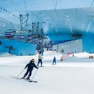 Dubai City Tour with Ski Dubai Snow Plus Pass