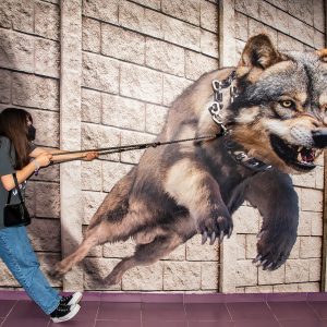 Dubai Museum of Illusions Tour with Private Transfers