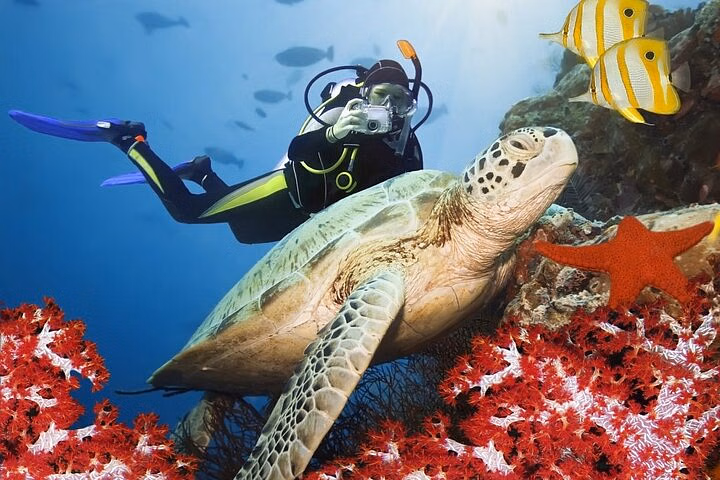 Belek Scuba Diving Tour with Lunch & Transfer