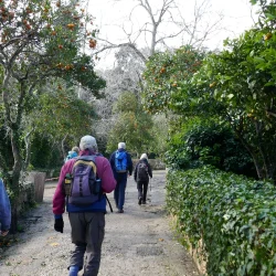 Buskett & Dingli Cliffs Private Walking Tour Buskett & Dingli Cliffs Private Walking Tour