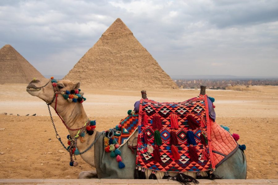 2 Days Cairo Adventure Tour from El Gouna by Flight