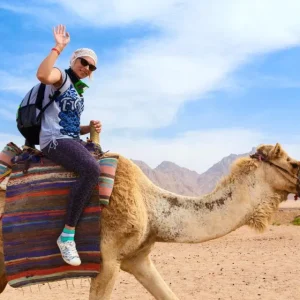 5 in 1 Sharm El Sheikh Desert Safari Tour