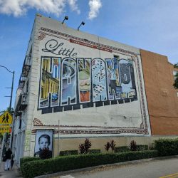 Calle Ocho Walking & Food Tour and Live Salsa