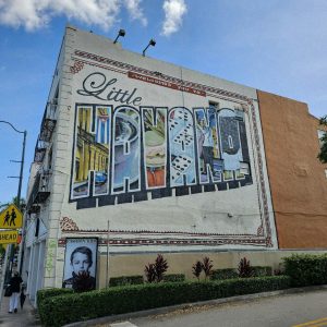 Calle Ocho Walking & Food Tour and Live Salsa