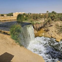 Day Tour to Al Fayoum Oasis from Cairo Day Tour to Al Fayoum Oasis from Cairo