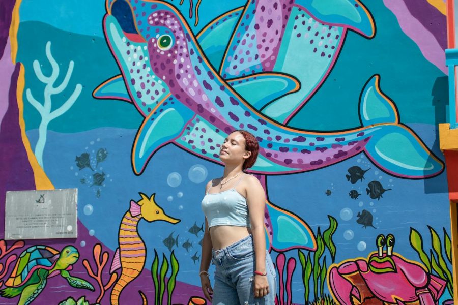 Full Day Key West Tour Adventure from Miami