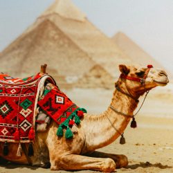 Giza Pyramids Tour Camel Ride and Lunch