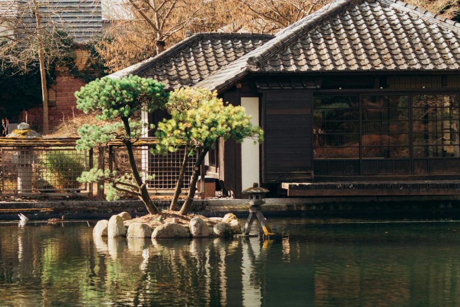 Japan Wisdom Tour to Reconnect Your Senses