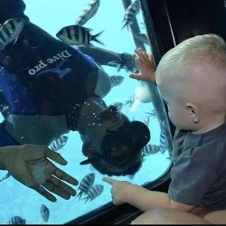 Sharm El Sheikh Semi-Submarine Marine Tour