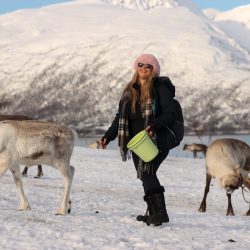 Tromsø Arctic Fjords Tour with Local Lunch