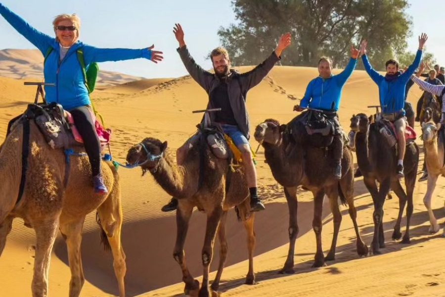 Camel Trek Adventure & Overnight Stay in Merzouga Desert Camp